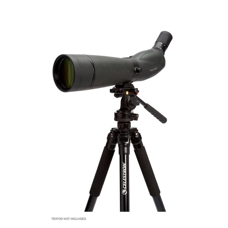 Celestron TrailSeeker 80mm Angled Zoom Spotting Scope - Image 10