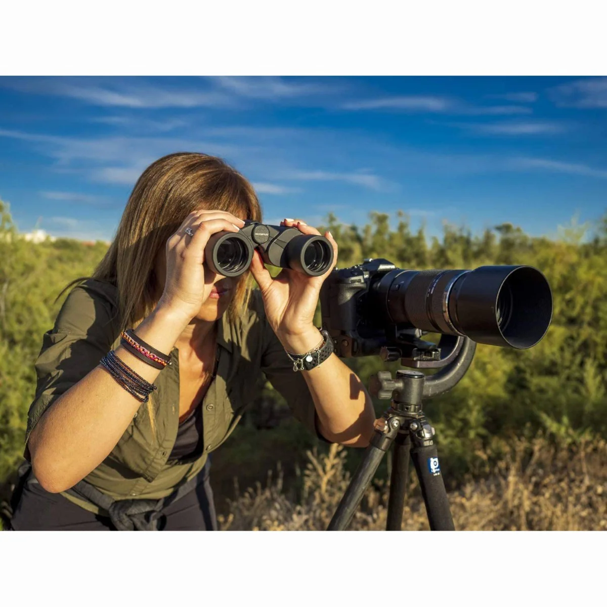 Olympus 8 x 40 S Binoculars - Image 4